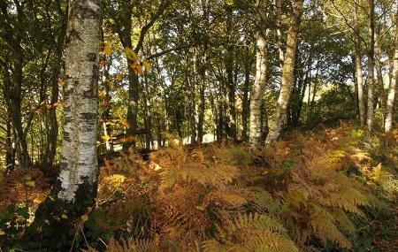 Imagen Senda Verde San Martín de Oscos