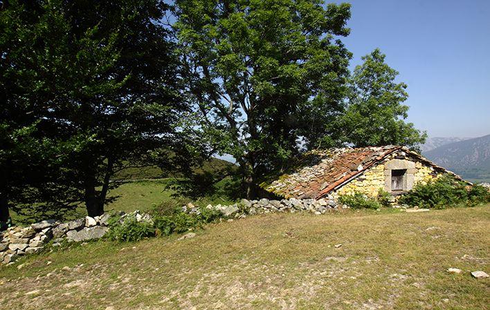 Camino Real del Puerto de la Mesa