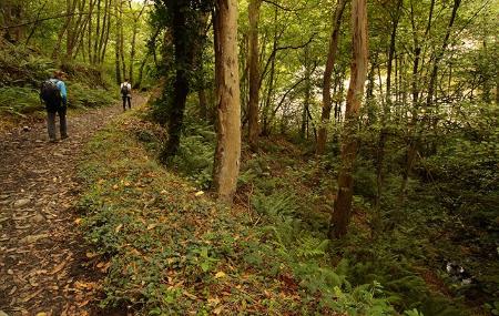 Route to the Nonaya River Waterfall