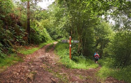 Route zu den Kaskaden des Nonaya-Flusses