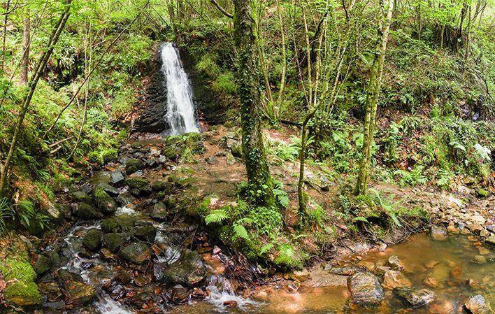 Senda de la Cascada de Nonaya foto 4