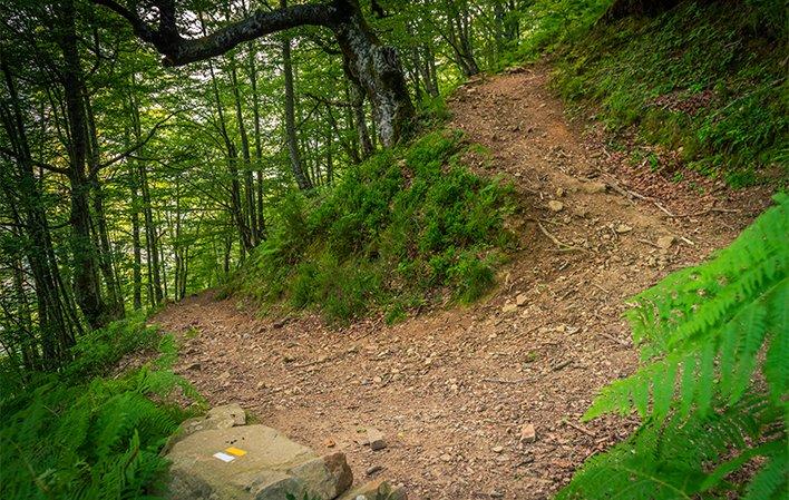 Ruta El Gumial