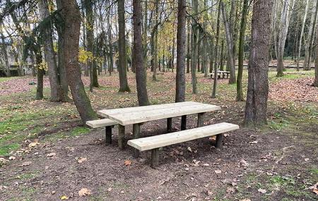 Mesas pícnic área recreativa