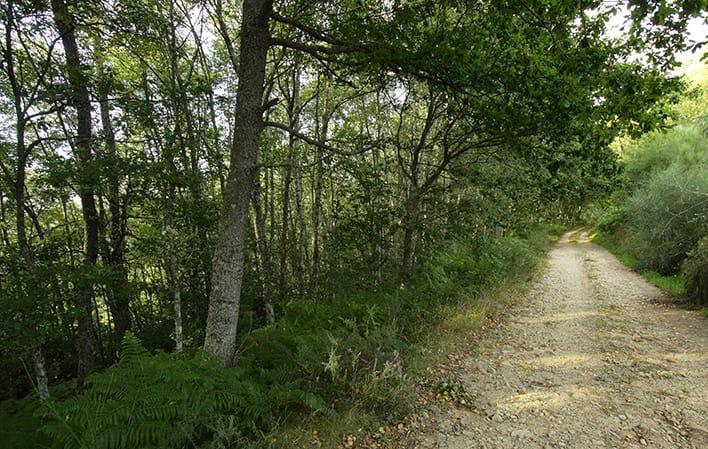 Ruta de los entornos de Grandas foto 4