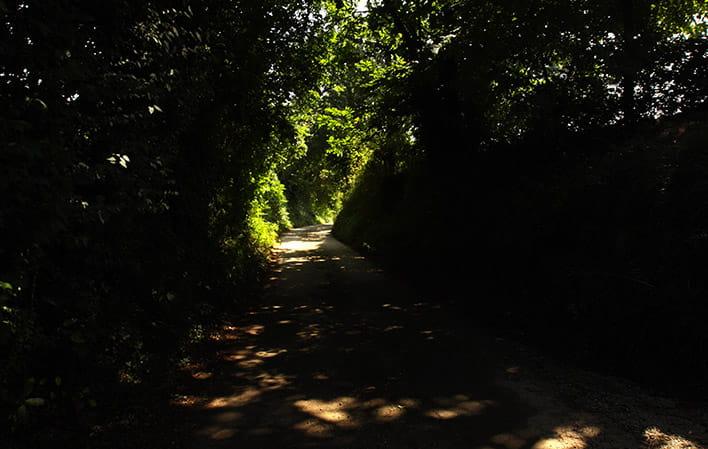 Ruta Noreña a La Felguera de Noreña foto 4
