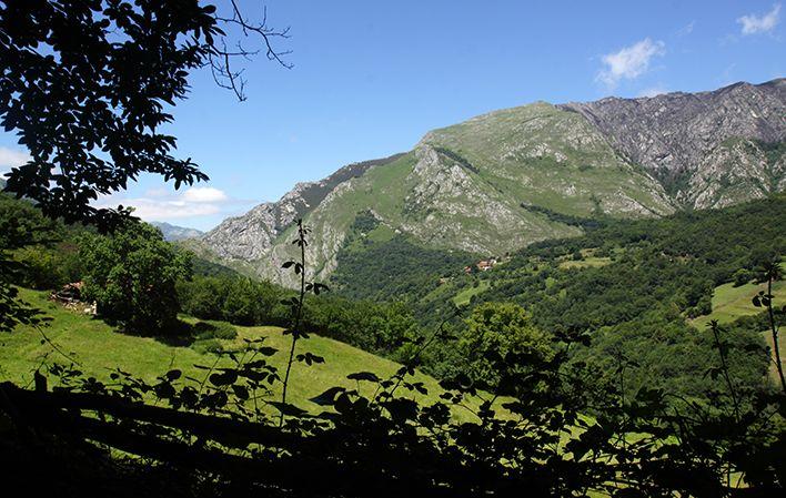 Valle de Ponga