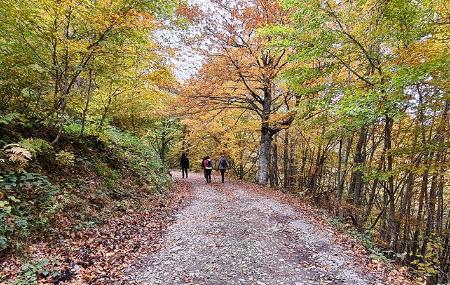 Caminhantes no percurso do Bosque de Peloño