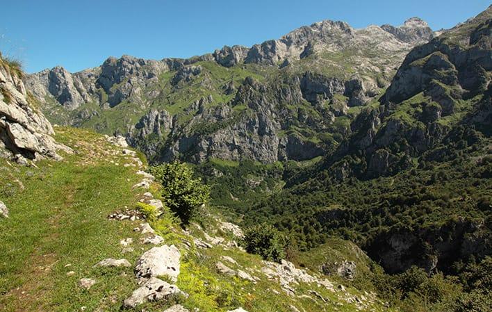 Senda del Arcediano