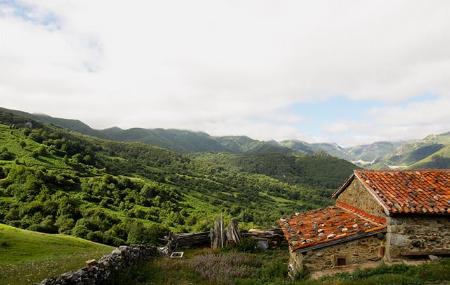 Forests of Valgrande 2