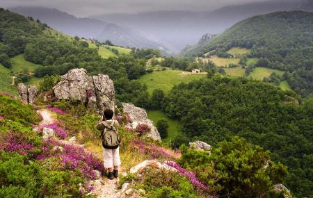 Route des Brañas à Aller