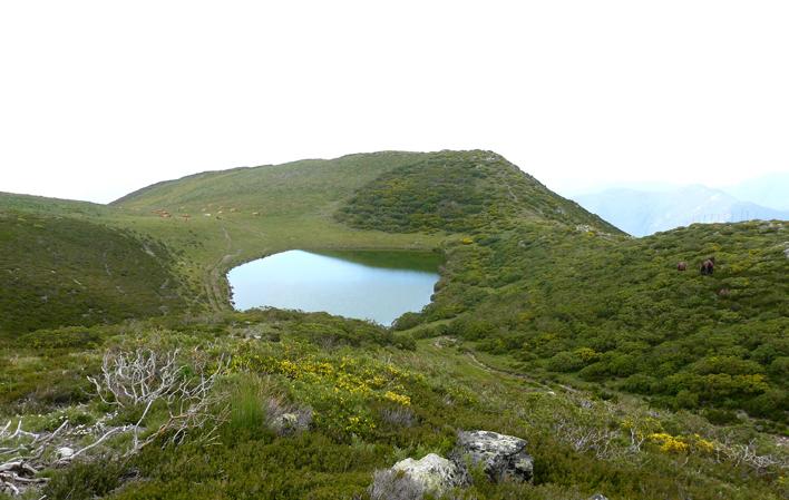 El Cabril foto 2