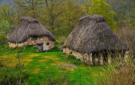 Braña La Campa a Saliencia