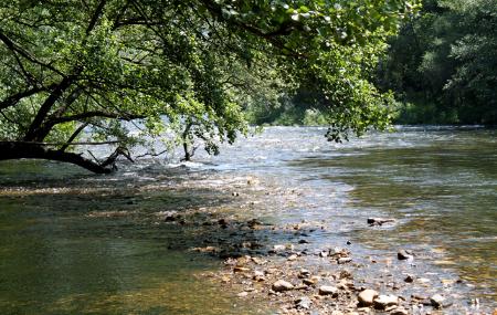 Narcea-Fluss