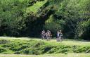 Hikers walk along a green trail surrounded by lush vegetation.