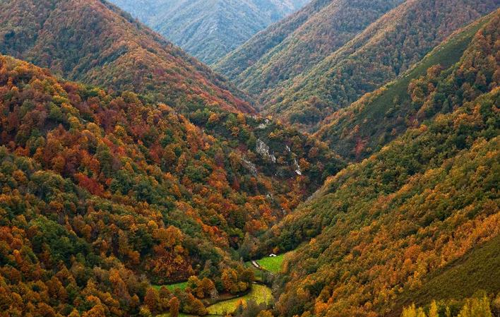 Fuentes del Narcea, Degaña e Ibias: Bosques, viñedos, osos y cunqueiros foto 2