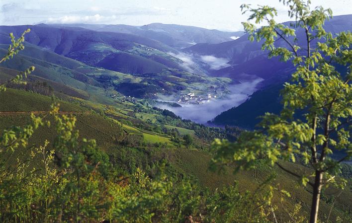 Fuentes del Narcea, Degaña e Ibias: Bosques, viñedos, osos y cunqueiros foto 4