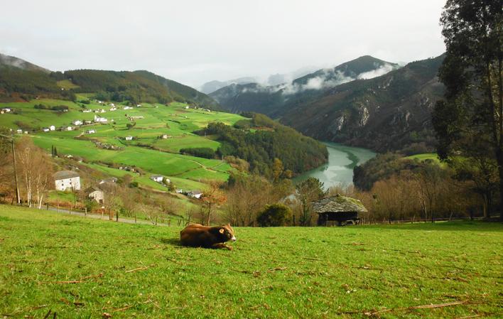 La cultura castreña y el Parque Histórico del Navia