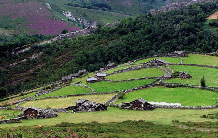 El dorado asturiano foto 4
