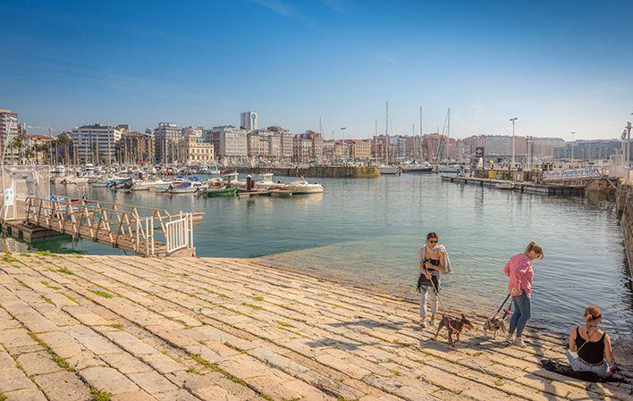 Playa de La Ñora - Gijón/Xixón foto 4