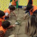 Imagem Excava y descubre. Taller infantil en Colunga