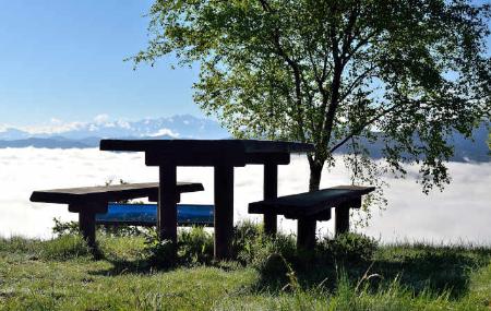 Impressive photo of the recreational area of Monte Gayón, in the foreground, a table and wooden benches on a meadow in the shade of a tree. A spectacular viewpoint from where, in the background, you can see the snow-capped Picos de Europa and below a sea of clouds covers the whole valley. The blue sky above the sea of clouds.