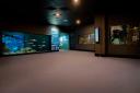 Sala fondo Atlántico en el Bioparc Acuario de Gijón