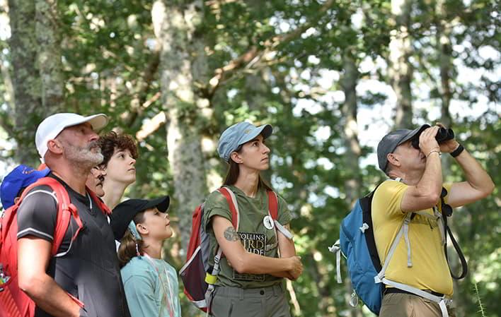 Gehe zu Bild Biointerpretierte Spaziergänge