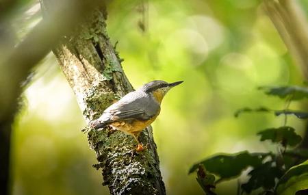 Terix Biointerpretierte Spaziergänge Terix Biointerpretation