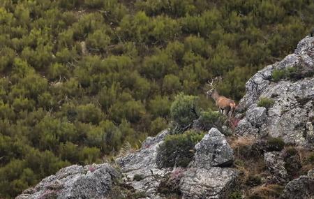 Terix Biointerpretierte Spaziergänge Terix Biointerpretation