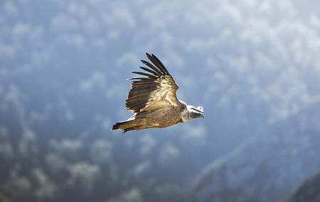 Terix Biointerpretierte Spaziergänge Terix Biointerpretation