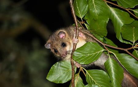 Paseos noctámbulos Terix Biointerpretación