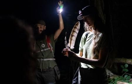 Paseos noctámbulos Terix Biointerpretación