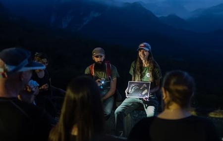 Paseos noctámbulos Terix Biointerpretación