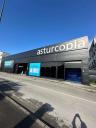 Asturcopia