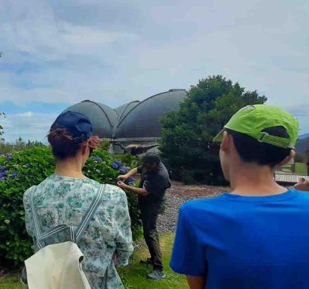 Día del Medioambiente en el MUJA. Talleres infantiles en Colunga