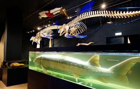 Fisheries Experimentation Centre Museum 3
