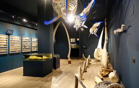 Fisheries Experimentation Centre Museum 4