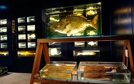 Fisheries Experimentation Centre Museum 5