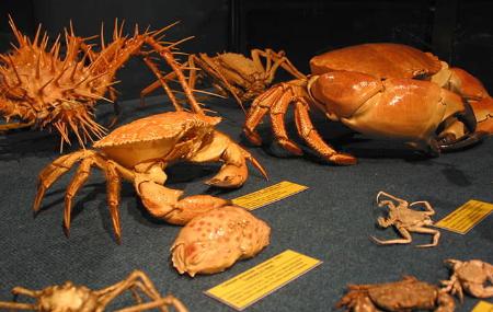 Fisheries Experimentation Centre Museum 6