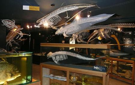 Fisheries Experimentation Centre Museum 7
