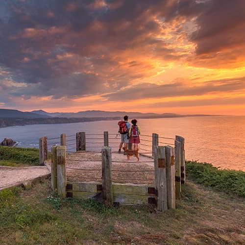 Immagine Asturias con pet