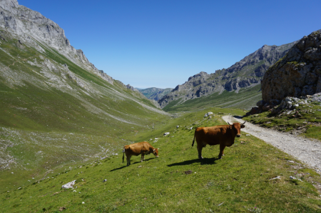 Imagen Senderismo en Picos de Europa, viaje organizado