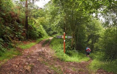 Der Jakobsweg, der durch Nonaya in Salas führt