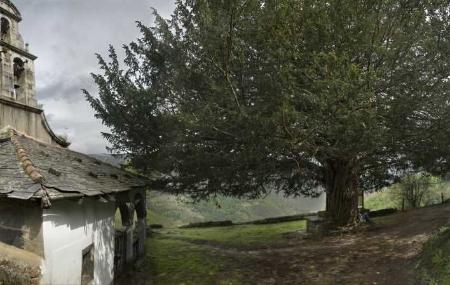 Hermitage and Yew Tree of Santa Coloma in Allande