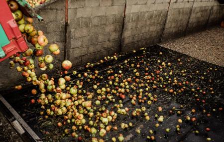 Manzanas Trabanco