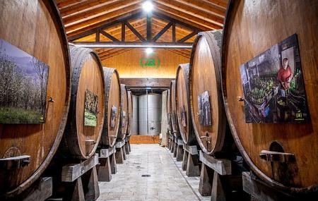 Toneles de sidra en el Llagar Sidra JR