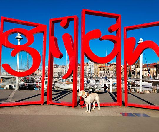 Las Letronas (the letters of the name of Gijón in very large size for souvenir photos) with a dog in front of it.