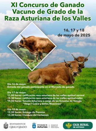 XI Concurso de Ganado Vacuno de Grado de la Raza Asturiana de los Valles