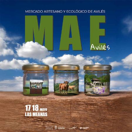 Mercado Artesano y Ecológico de Avilés