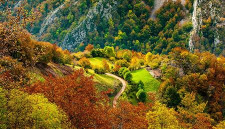 Imagen As 10 melhores coisas para ver e fazer no Parque Natural de Redes